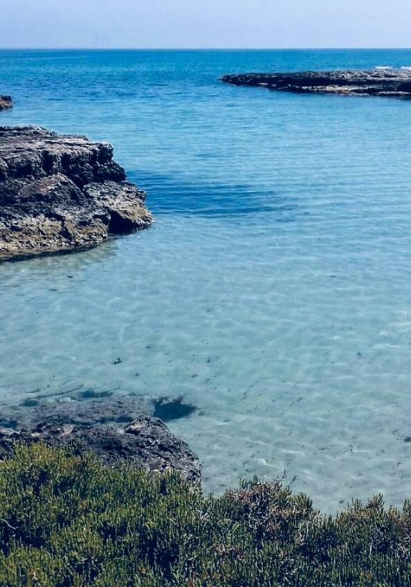 Villa Irene Torre Santa Sabina Εξωτερικό φωτογραφία
